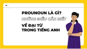 pronoun là gì cách sử dụng