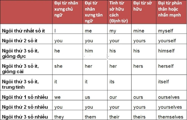 cách phân loại đại từ pronoun trong tiếng anh