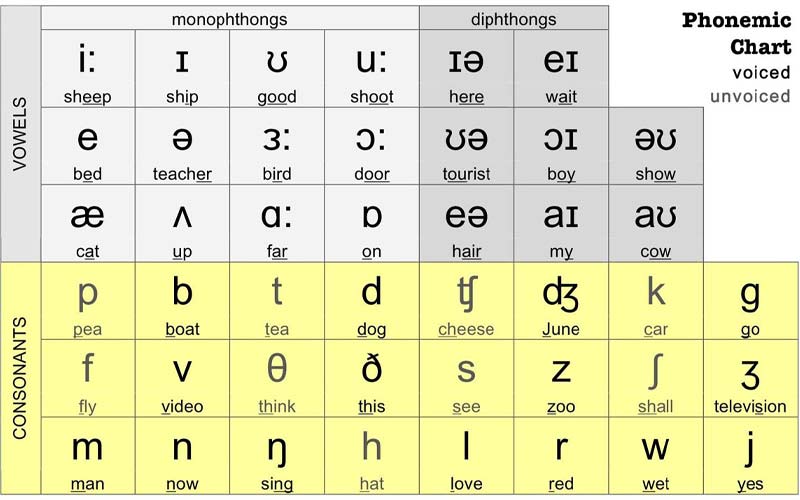Tại Sedu English học viên sẽ phải nắm vững cách phát âm bảng IPA trước khi học các kiến thức chuyên sâu hơn