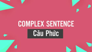 Complex sentence là gì? Cách sử dụng và ví dụ minh họa