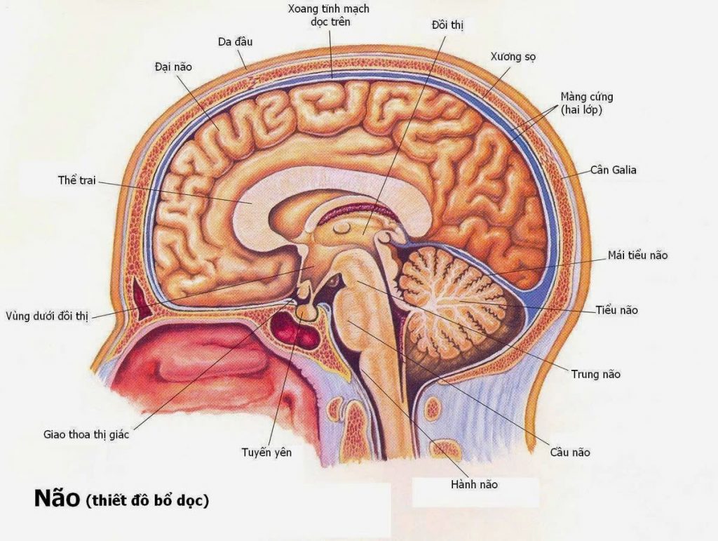 38633e05eab767e93ea6